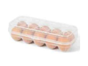 ORGANIZADOR PLASTICO P/ 10-OVOS 
