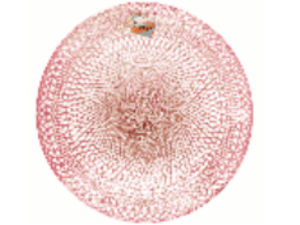 LUGAR AMERICANO PVC 38CM REDONDO